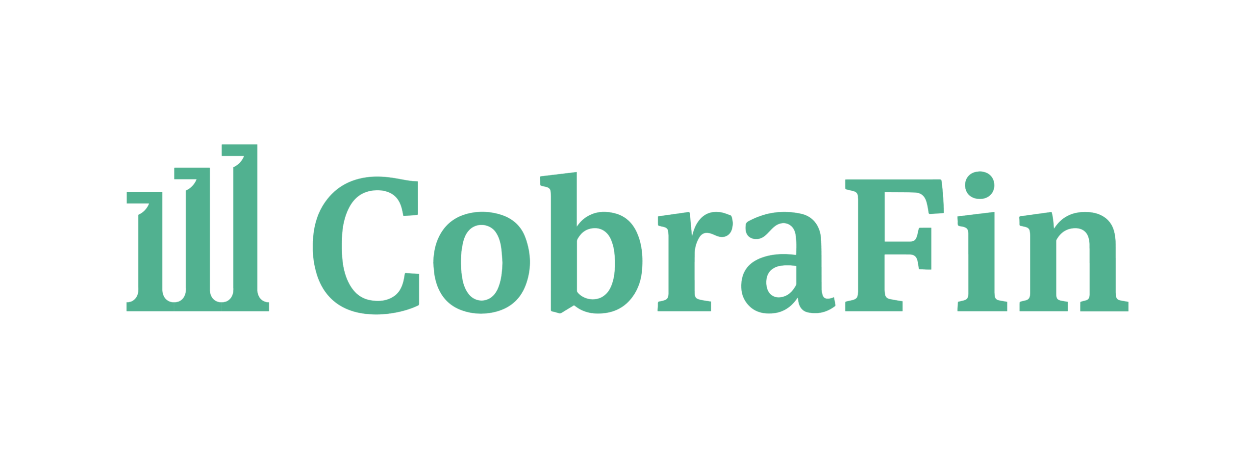 Cobrafin Soluciones